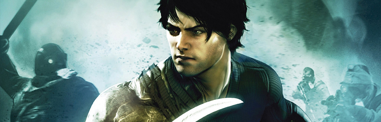 Dark Sector