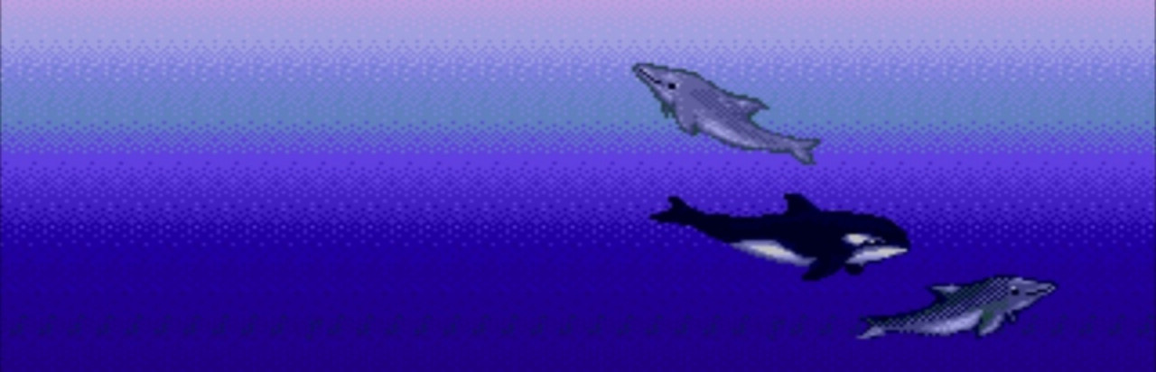 Ecco Jr.