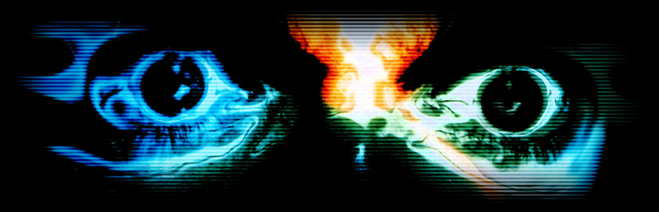 Flashback: The Quest for Identity