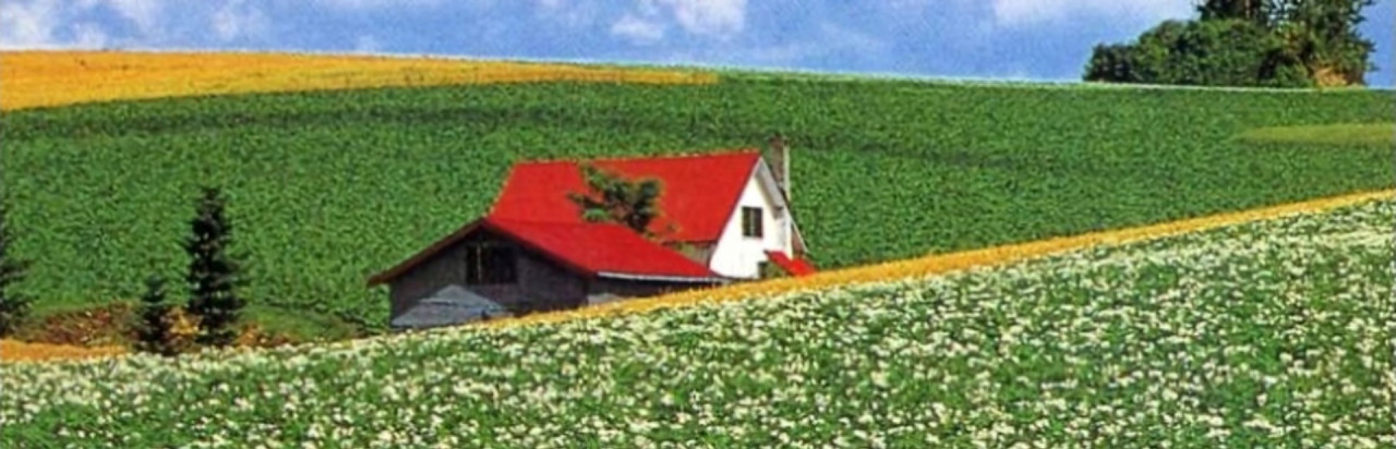 Harvest Moon