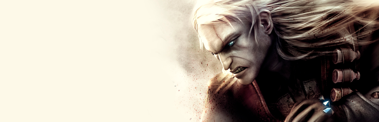 The Witcher